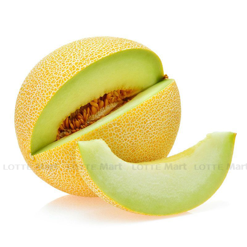 DƯA LƯỚI HÀ LAN